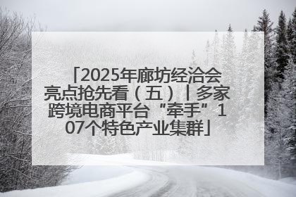 2025年廊坊经洽会亮点抢先看（五）丨多家跨境电商平台“牵手”107个特色产业集群