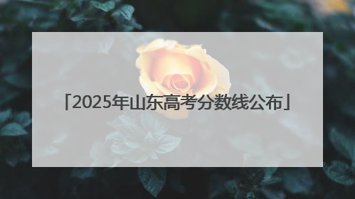 2025年山东高考分数线公布