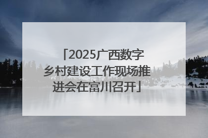 2025广西数字乡村建设工作现场推进会在富川召开