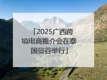 2025广西跨境电商推介会在泰国曼谷举行