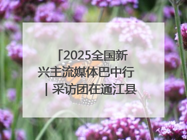 2025全国新兴主流媒体巴中行｜采访团在通江县瞻仰全国最大红军烈士陵园