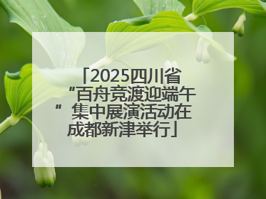 2025四川省“百舟竞渡迎端午”集中展演活动在成都新津举行