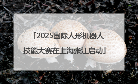 2025国际人形机器人技能大赛在上海张江启动