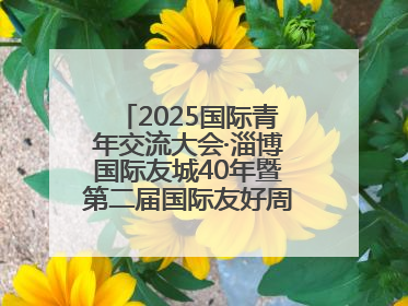 2025国际青年交流大会·淄博国际友城40年暨第二届国际友好周开幕式举行