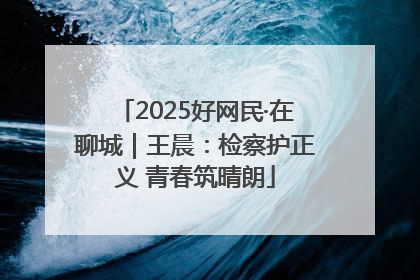 2025好网民·在聊城｜王晨：检察护正义 青春筑晴朗