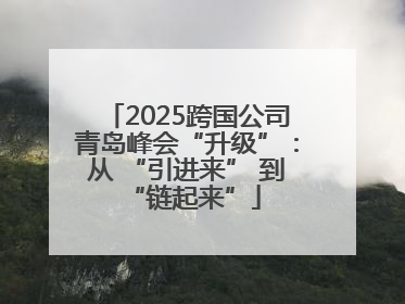 2025跨国公司青岛峰会“升级”：从 “引进来” 到 “链起来”