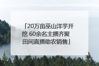 20万亩巫山洋芋开挖 60余名主播齐聚田间直播助农销售