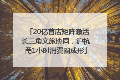 20亿首店矩阵激活长三角文旅协同，沪杭甬1小时消费圈成形
