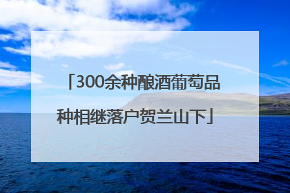 300余种酿酒葡萄品种相继落户贺兰山下