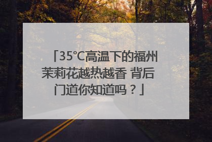 35℃高温下的福州茉莉花越热越香 背后门道你知道吗？