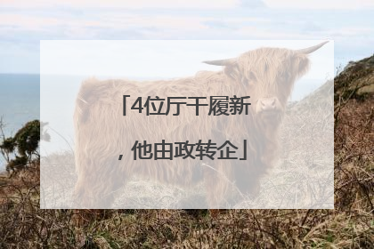 4位厅干履新，他由政转企