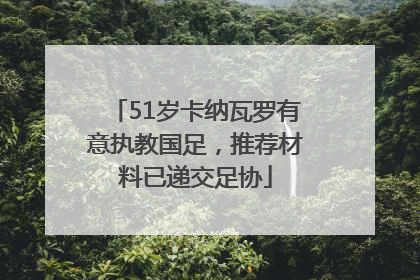51岁卡纳瓦罗有意执教国足，推荐材料已递交足协
