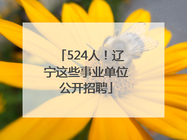 524人！辽宁这些事业单位公开招聘