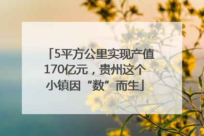 5平方公里实现产值170亿元，贵州这个小镇因“数”而生