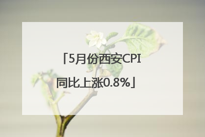 5月份西安CPI同比上涨0.8%