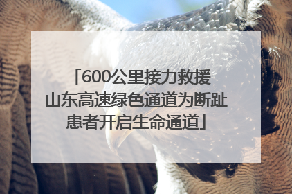 600公里接力救援 山东高速绿色通道为断趾患者开启生命通道