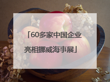 60多家中国企业亮相挪威海事展