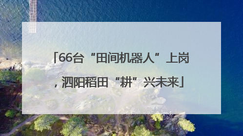 66台“田间机器人”上岗，泗阳稻田“耕”兴未来