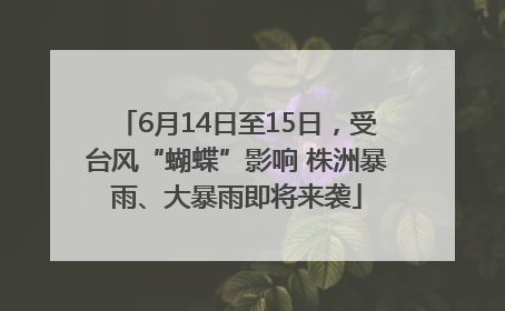 6月14日至15日，受台风“蝴蝶”影响 株洲暴雨、大暴雨即将来袭