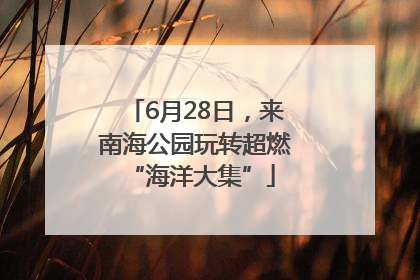 6月28日，来南海公园玩转超燃 “海洋大集”