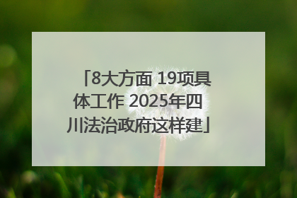8大方面 19项具体工作 2025年四川法治政府这样建