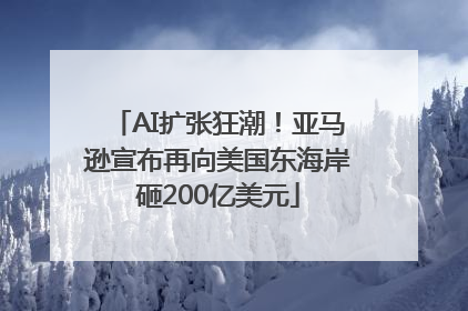 AI扩张狂潮！亚马逊宣布再向美国东海岸砸200亿美元