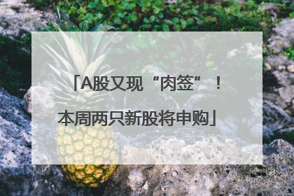 A股又现“肉签”！本周两只新股将申购