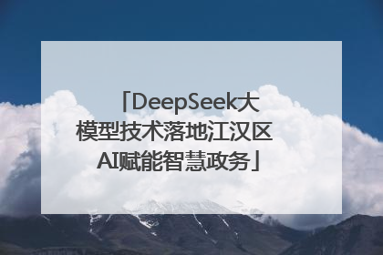 DeepSeek大模型技术落地江汉区 AI赋能智慧政务