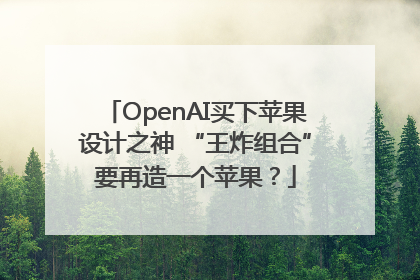 OpenAI买下苹果设计之神 “王炸组合”要再造一个苹果？
