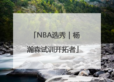 NBA选秀｜杨瀚森试训开拓者