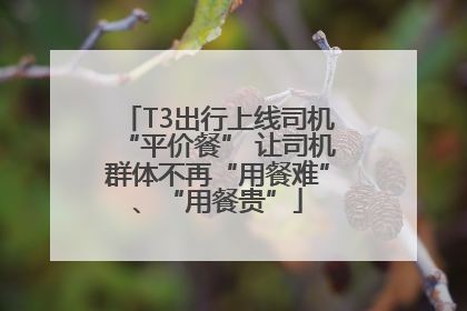 T3出行上线司机“平价餐” 让司机群体不再“用餐难”、“用餐贵”